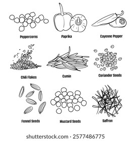 Hand drawn vector sketch set of Spices illustration line art, Peppercorns, Paprika, Cayenne Pepper, Chili Flakes, Cumin, Coriander Seeds, Fennel Seeds, Mustard Seeds and Saffron. Seasoning food design