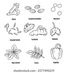 Hand drawn vector sketch set of Spices illustration line art, Clove,Ground Coriander, Mustard, Ground Cumin,Turmeric, Sichuan, Bay Leaves, Curry and Paprika. Seasoning food design