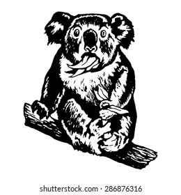 hand drawn, vector, sketch, silhouette, linear, illustration of koala munching leaves, surprised koala