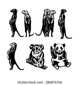 hand drawn, vector, sketch, silhouette, linear, illustration of collection of animals