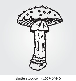 Hand Drawn Vector Sketch of Tattoo