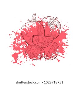 Hand drawn vector sketch tomato on grunge ink splash backround. Vegeterian organic food banner, flyer, poster with space for text