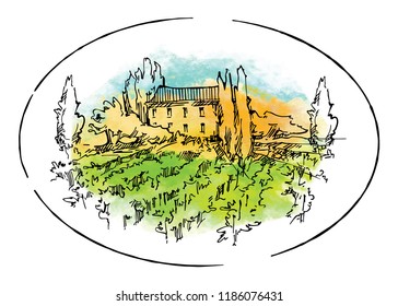 Hand drawn vector sketch of trees and plants. Watercolor background