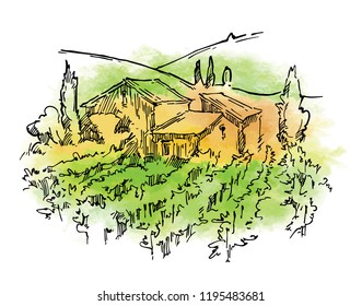 Hand drawn vector sketch of trees and plants. Watercolor background