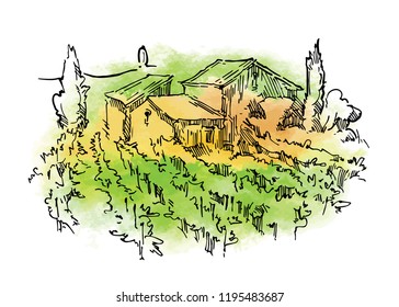 Hand drawn vector sketch of trees and plants. Watercolor background