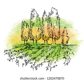 Hand drawn vector sketch of trees and plants. Watercolor background