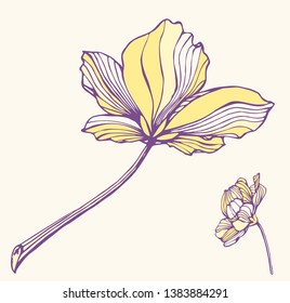 Hand drawn vector sketch, two  violet flowers.