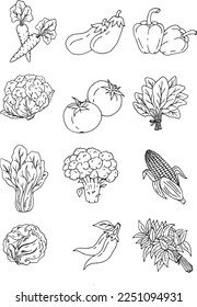 hand drawn vector sketch of vegetable group with drawing pen