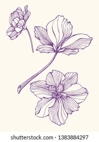 Hand drawn vector sketch, violet flowers.