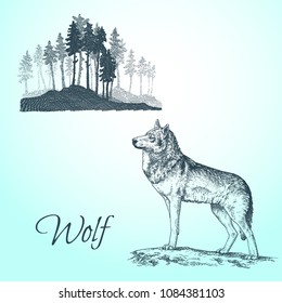Hand drawn vector sketch of wolf and forest