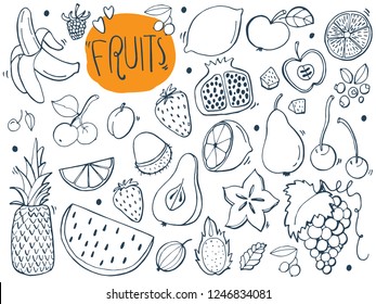 Hand drawn vector sketches, illustration for fresh fruits.