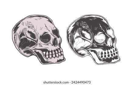 hand drawn vector skull illustration