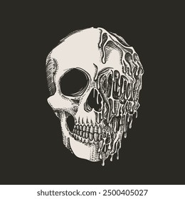 Hand drawn vector skull illustration