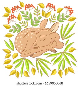 Hand drawn vector of sleeping fawn and forest plants.  Stock illustration of a young deer isolated on a white background.