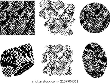 Hand drawn vector snake pattern spots, black and white spots with leopard texture, animal paint