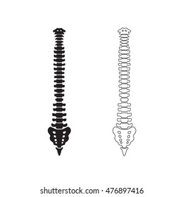 Hand drawn vector spine isolated on white. Front view.

Hand drawn vector spine isolated on white. Front view.
