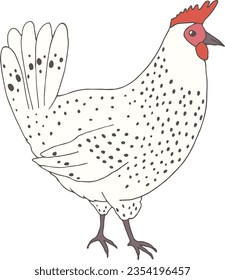 Hand drawn vector of spotted hen