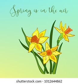 Hand drawn vector spring background with daffodils.