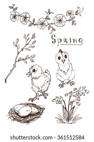 Hand drawn vector spring set. Sketches of Easter chickens,  eggs in nest and pussy-willow twigs.