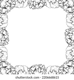 Hand drawn vector square frame wreath arrangement with peony flowers, buds and leaves. Isolated on white background. Design for wedding or greeting cards, invitations, wallpaper, print, textile
