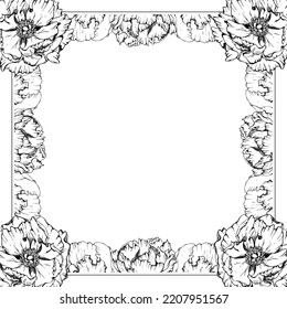 Hand drawn vector square frame wreath arrangement with peony flowers, buds and leaves. Isolated on white background. Design for wedding or greeting cards, invitations, wallpaper, print, textile