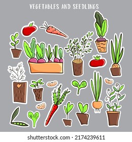 Hand drawn vector sticker pack. Vegetables and  seedlings.