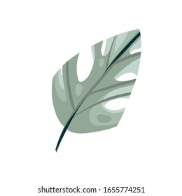 Hand drawn vector stock abstract graphic illustration with tropical monstera leaf isolated on white background
