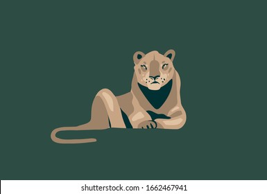Hand drawn vector stock abstract graphic illustration with African wild lying lioness cartoon animal design isolated on background