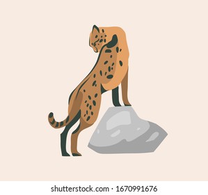 Hand drawn vector stock abstract graphic illustration with African wild sitting cheetah cartoon animal design isolated on background