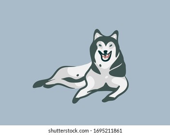Hand drawn vector stock abstract graphic cartoon illustration with lying husky dog isolated on color background