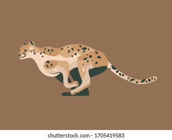 Dibujo gráfico abstracto de material vectorial dibujado a mano con dibujos animados de chita salvaje africanos dibujos animados de animales aislados en fondo de color