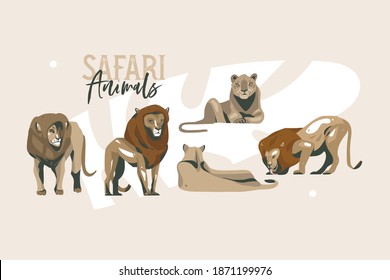 Hand drawn vector stock abstract flat graphic illustration with African wild lion and lioness in the wild or zoo collection set,cartoon animal design isolated on white background