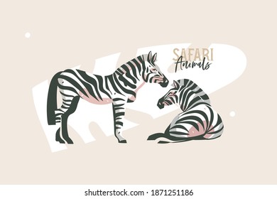 Hand drawn vector stock abstract flat graphic illustration with African wild zebra in the wild or zoo collection set,cartoon animal design isolated on white background