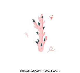 Hand drawn vector stock abstract flat cartoon graphic illustration with tropical summer ocean underwater funny sea weed isolated on white background