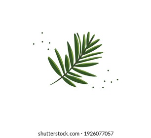 Hand drawn vector stock abstract flat cartoon graphic illustration with tropical palm leaf isolated on white background