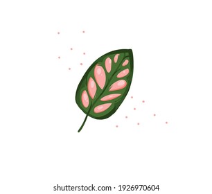 Hand drawn vector stock abstract flat cartoon graphic illustration with tropical palm leaf isolated on white background