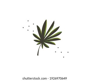 Dibujo manual material vectorial abstracto cartográfico plano ilustrativo con hoja de palma tropical aislada en fondo blanco