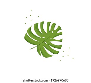 Hand drawn vector stock abstract flat cartoon graphic illustration with tropical palm leaf isolated on white background