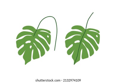 Dibujo manual del material vectorial abstracto cartográfico plano ilustrativo con hoja de palma tropical aislada en fondo blanco.