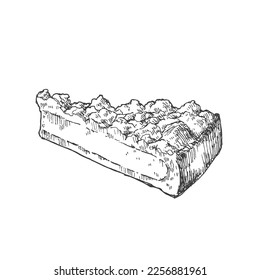 Ilustración de streuselkuchen vectorial dibujada a mano. Pastel tradicional alemán o postre con bayas. Plantilla de vintage de postre dulce para menú, diseño y