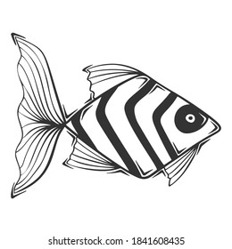 Vector dibujado a mano de peces exóticos rayados, aislados en fondo blanco.