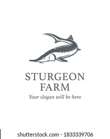 hand drawn vector sturgeon fish logo