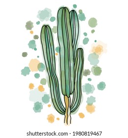 Hand drawn vector of succulent plant with watercolor background and spots isolated on white background. Stock illustration of exotic flower. Lophocereus schottii sketch.