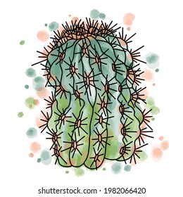 Hand drawn vector of succulent plant with watercolor background and spots isolated on white background. Stock illustration of exotic flower. Ferocactus sketch.