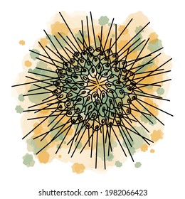 Hand drawn vector of succulent plant with watercolor background and spots isolated on white background. Stock illustration of exotic flower. Ferocactus sketch.