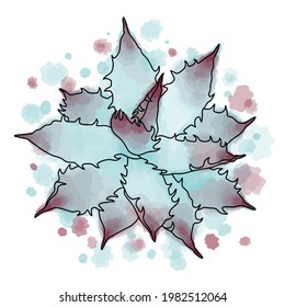 Hand drawn vector of succulent plant isolated on white background. Stock illustration of exotic flower agava on watercolor background and spots. 