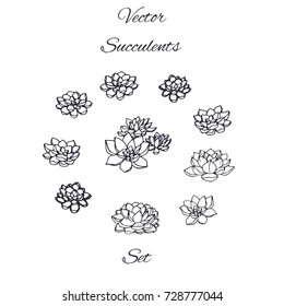 Hand drawn vector succulents contours set isolated on white background.