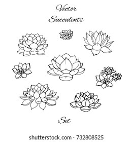 Hand drawn vector succulents contours set isolated on white background.