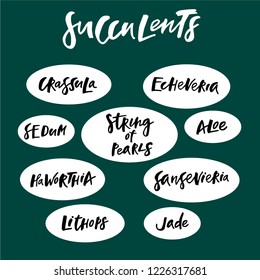 Hand drawn vector succulents. Lettering.