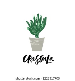 Hand drawn vector succulents. Lettering.